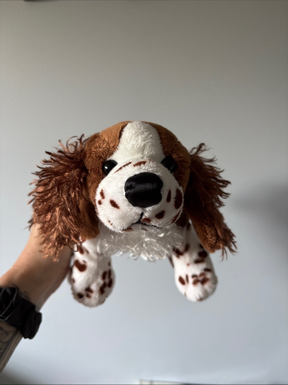 Springer Spaniel Dog 🐶 Webkinz GANZ
